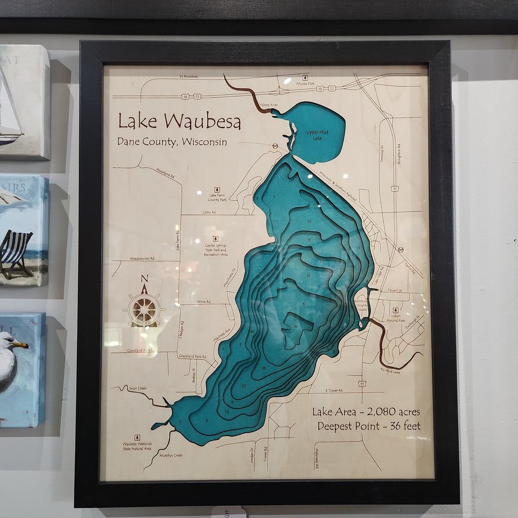 Bathymetry - Lake Waubesa - 16x20 3D with Plexiglass