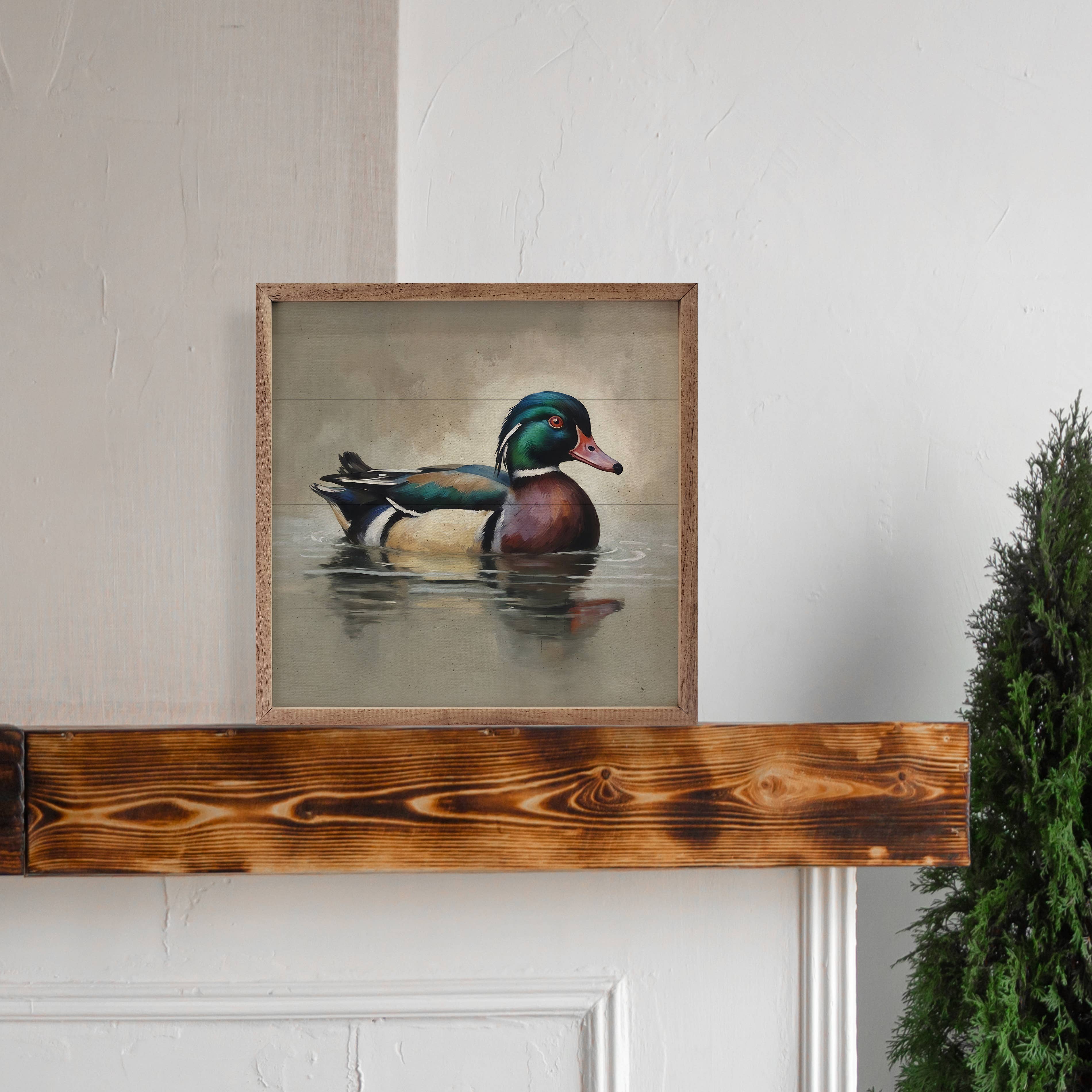 Wood Duck Portrait: 8x8