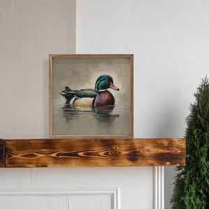 Wood Duck Portrait: 8x8