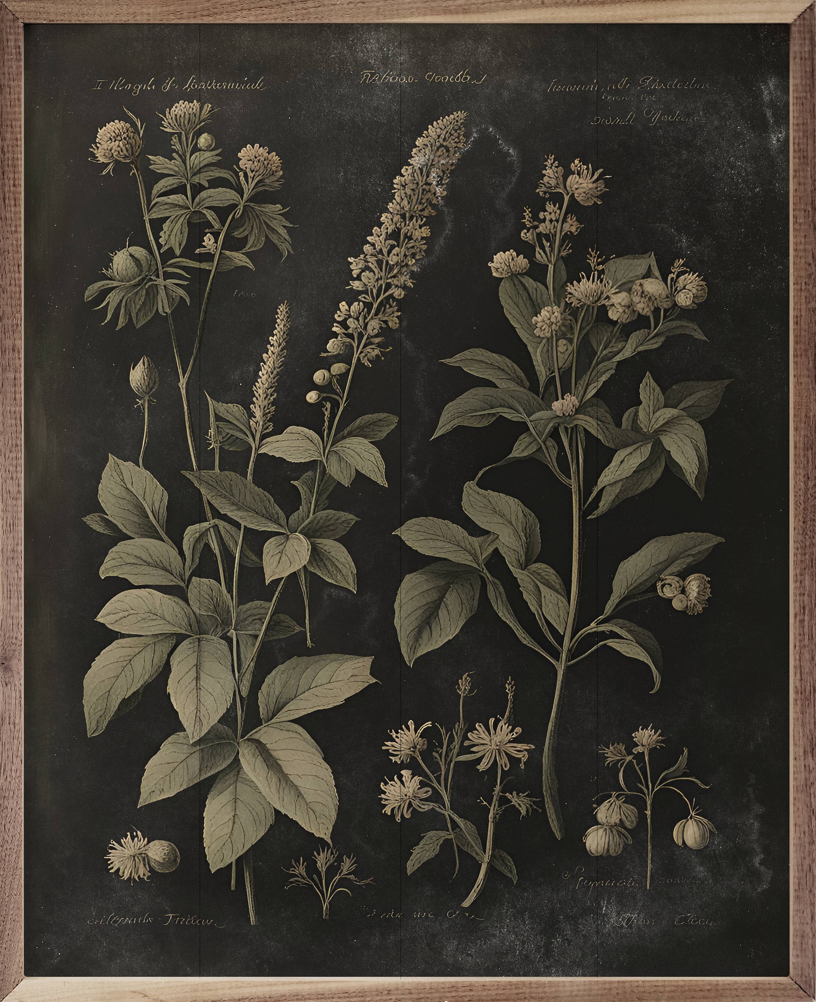 Vintage Neutral Floral Print Black: 24 x 30 x 1.5