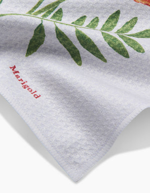 September Aster Dishcloth Set