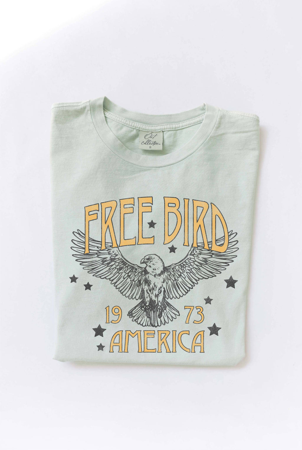 FREE BIRD AMERICA Mineral Washed Graphic Top: SAGE