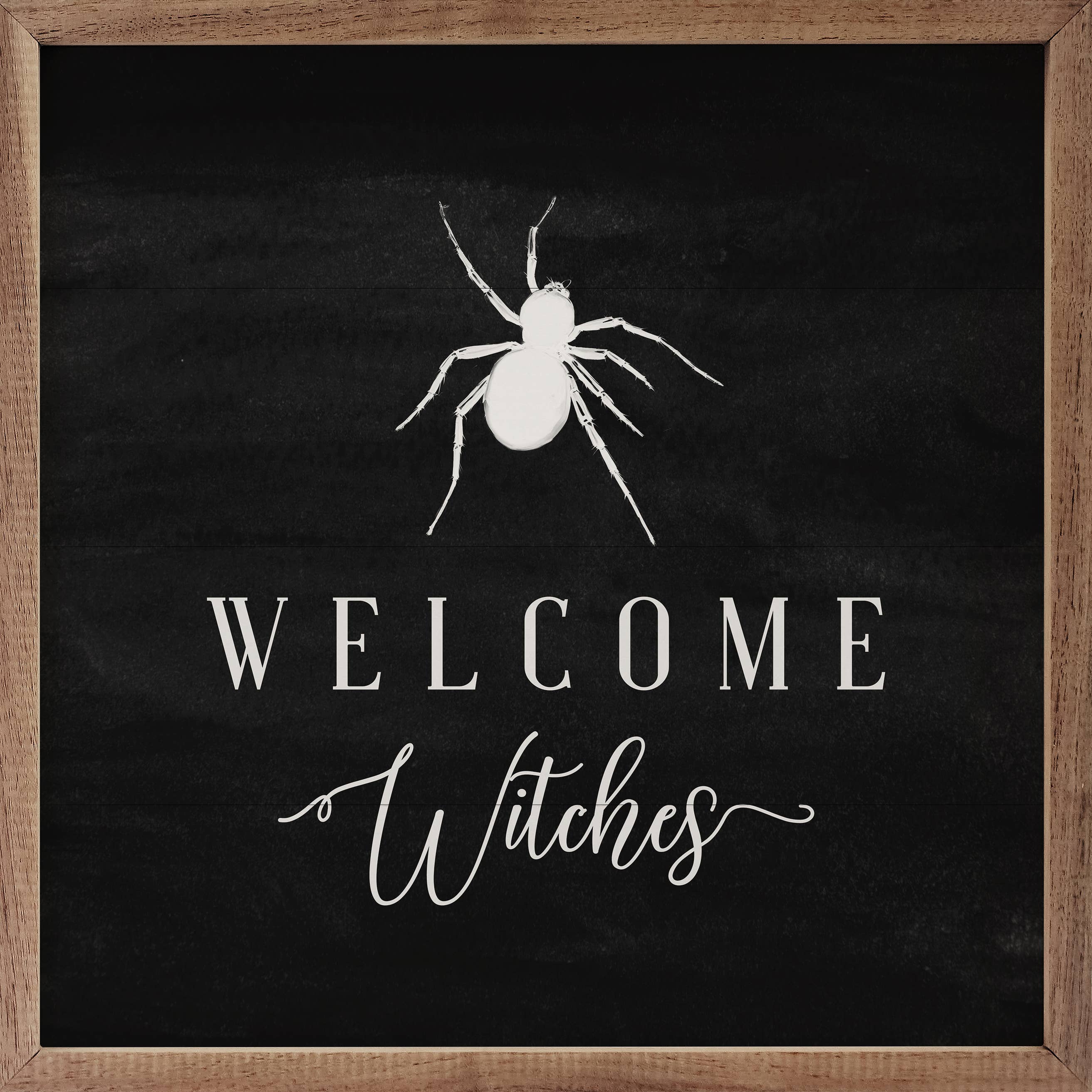 Welcome Witches Spider Black: 12 x 12 x 1.5