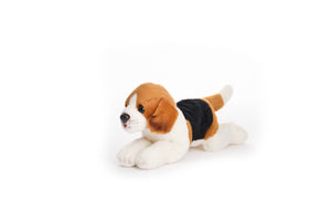 Lil' Hunter the Beagle