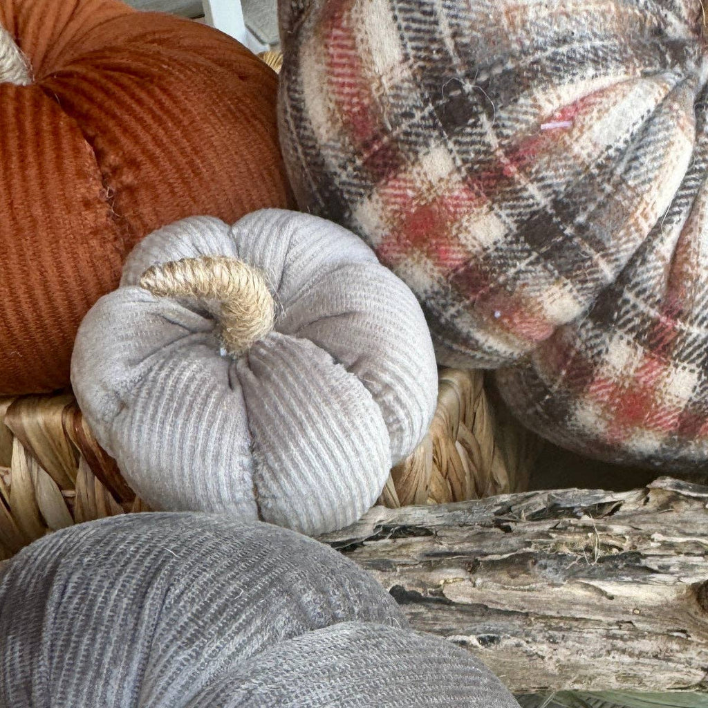CF-3303 - Sm. Silver Corduroy Pumpkin