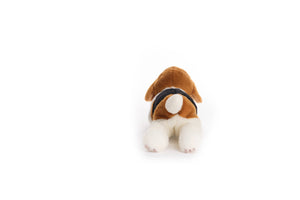Lil' Hunter the Beagle