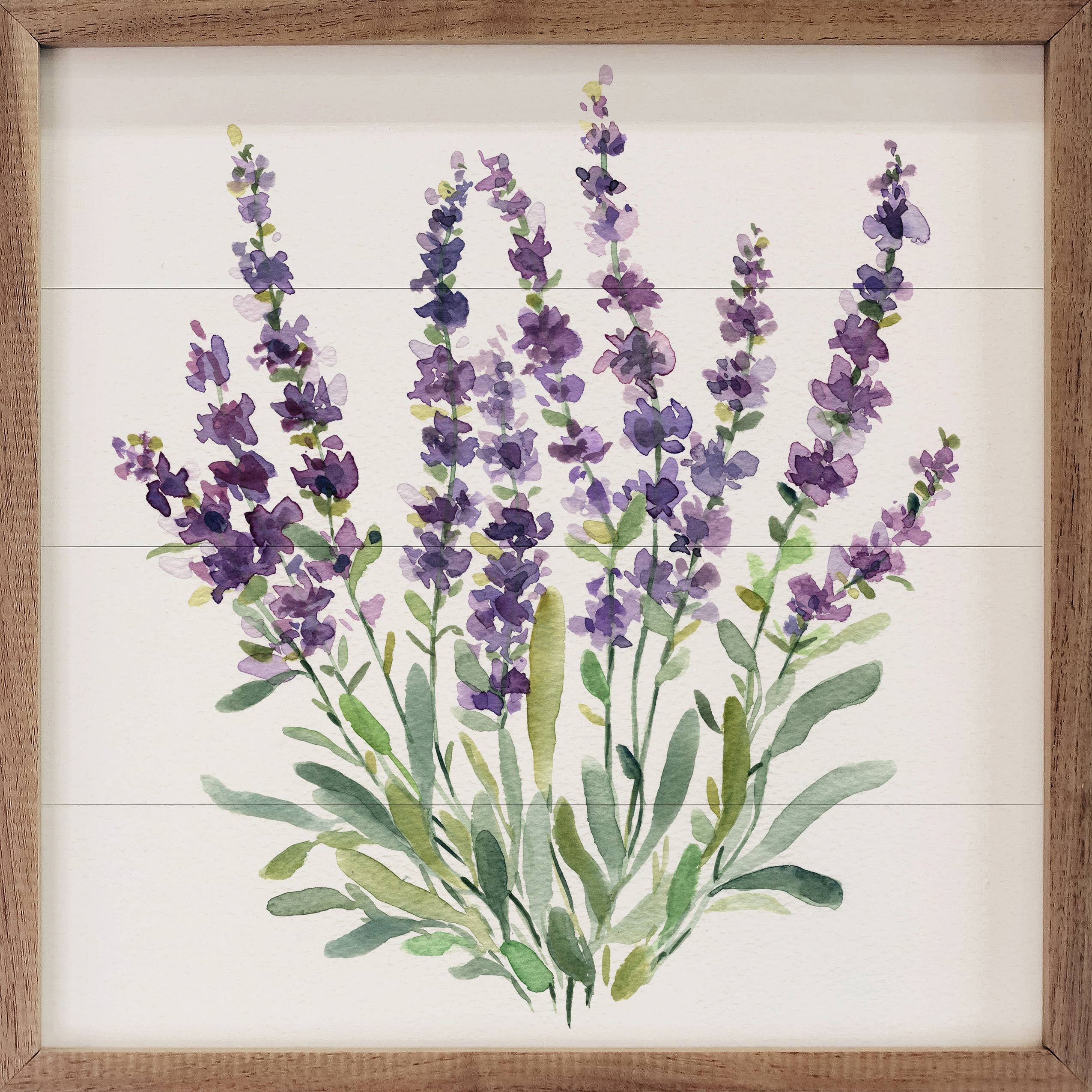 Lavender Botanical II By Carol Robinson: 4 x 4 x 1