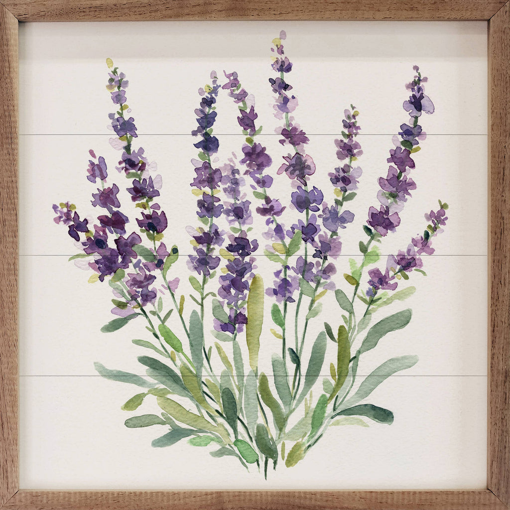 Lavender Botanical II By Carol Robinson: 4 x 4 x 1