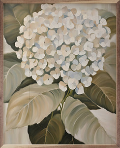 White Hydrangea: 8 x 10 x 1.5