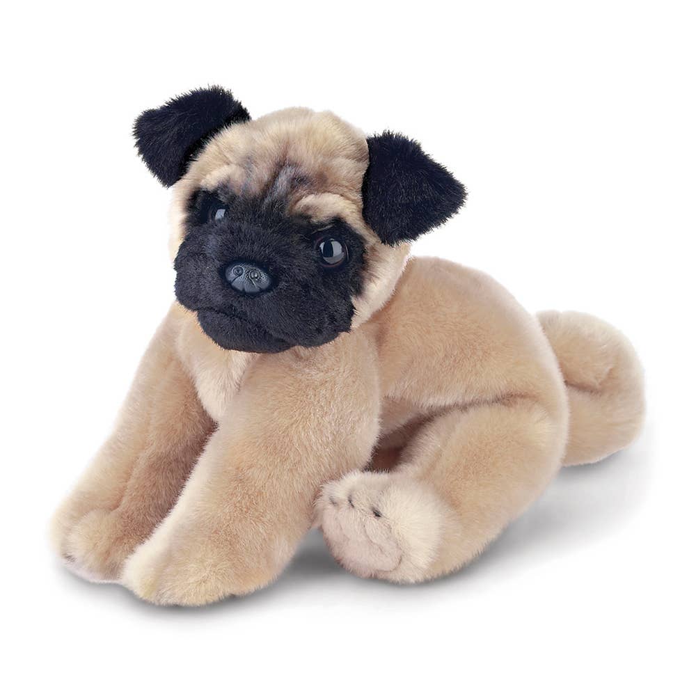 Pugsly the Pug