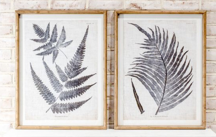 Framed wall art black fern print with white background 2 styles sold separately 25.6 x 19.7
