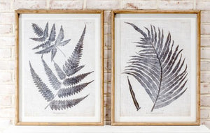 Framed wall art black fern print with white background 2 styles sold separately 25.6 x 19.7