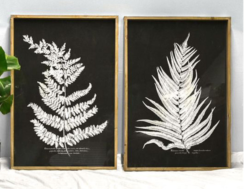 Framed wall art white fern print with black background 2 styles sold separately
