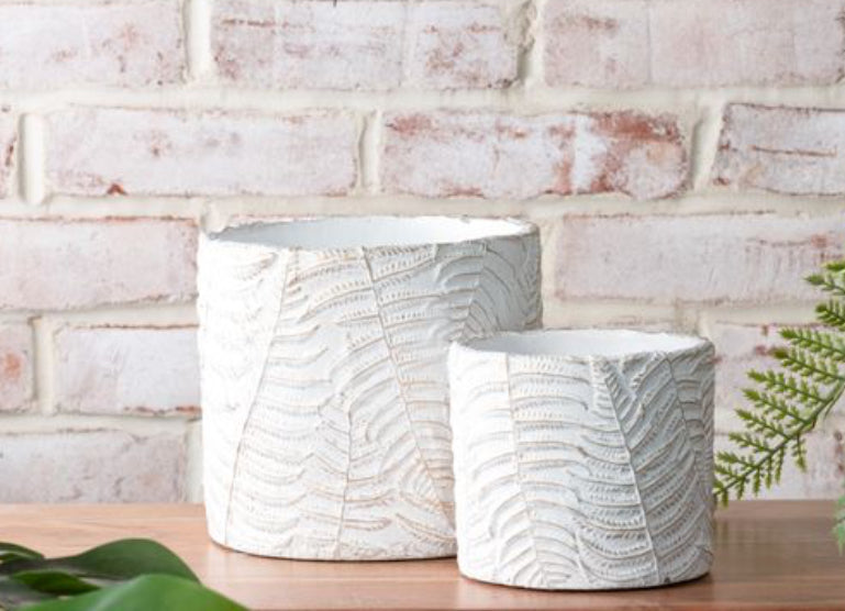 Set of 2 cement fern pots