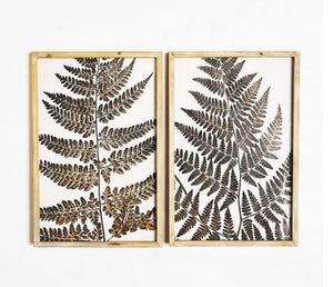 SOLD SEPARATELY FRAMED FERN WALL DECOR WHITE BACKGROUND 15.75 X .71 X 23.62 2 assorted styles sold separately