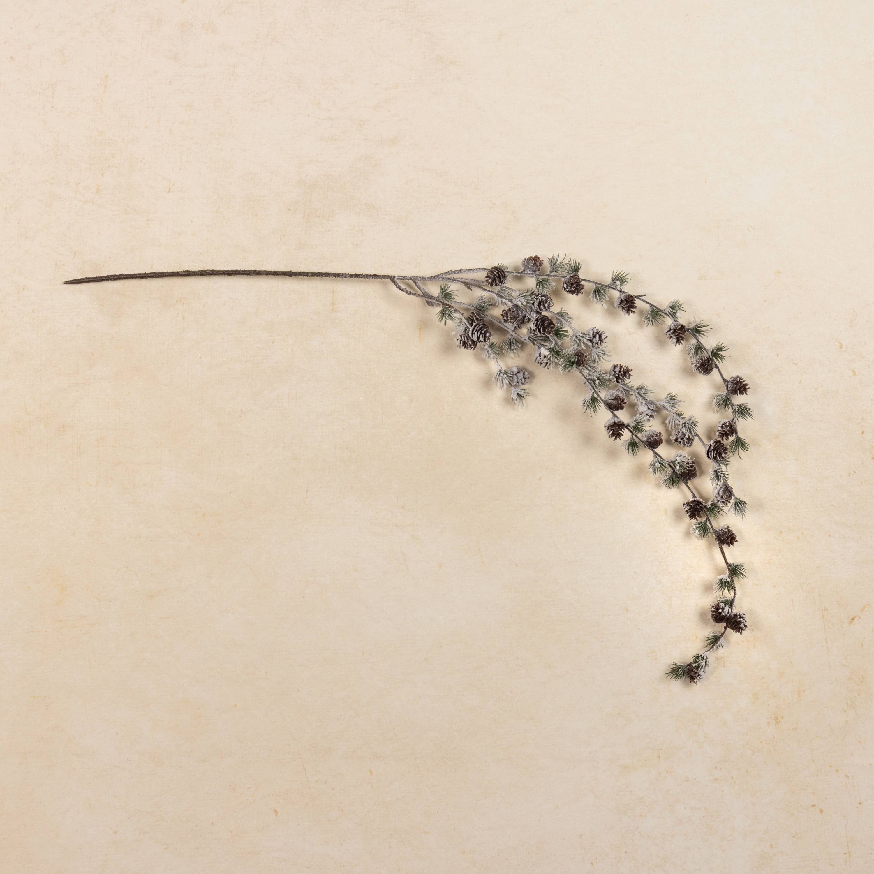 42" DRAPING SNOWY LARCH & PINECONE SPRAY