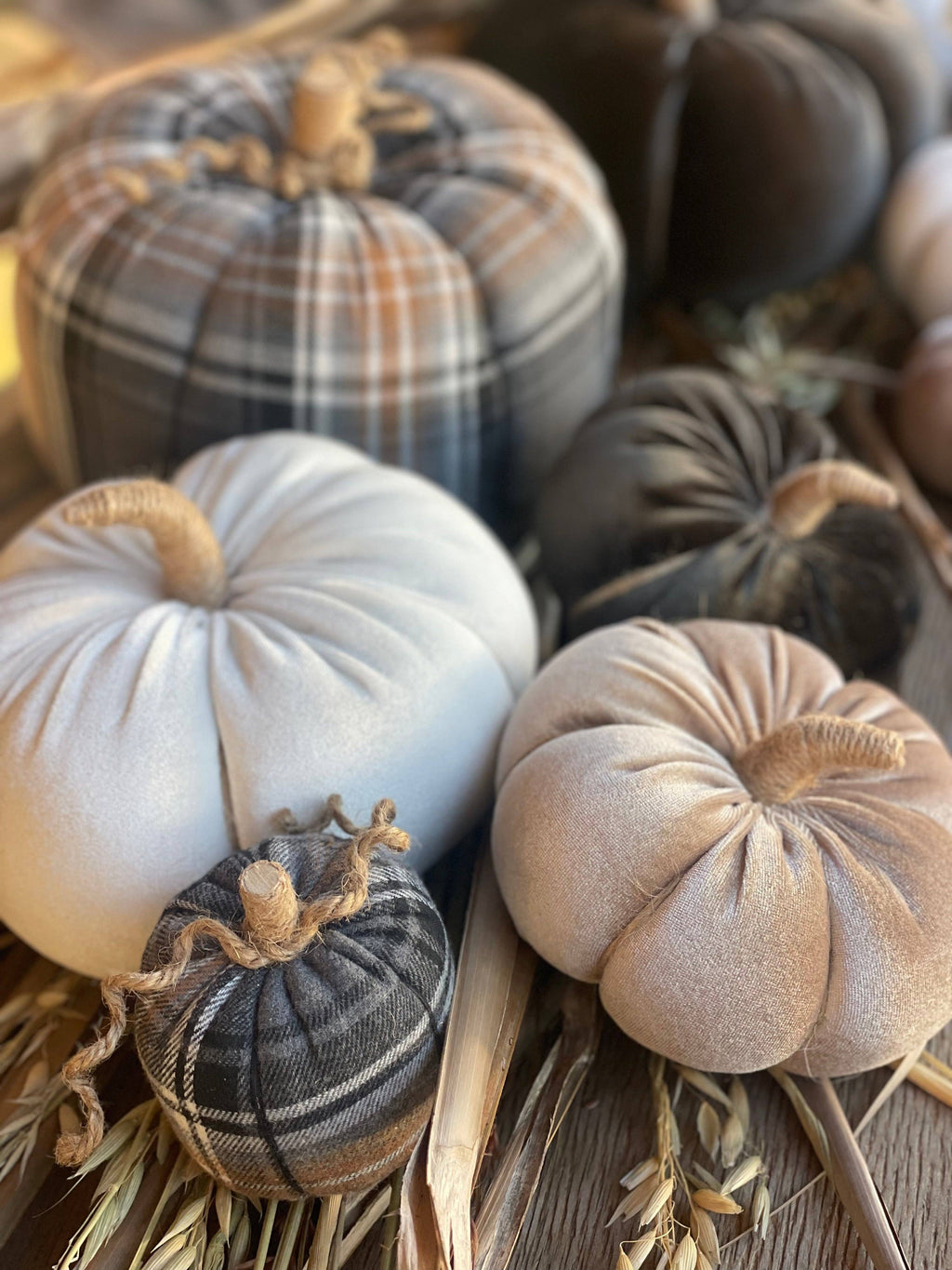 CF-3166 - Lrg. White Velvet Fall Pumpkin