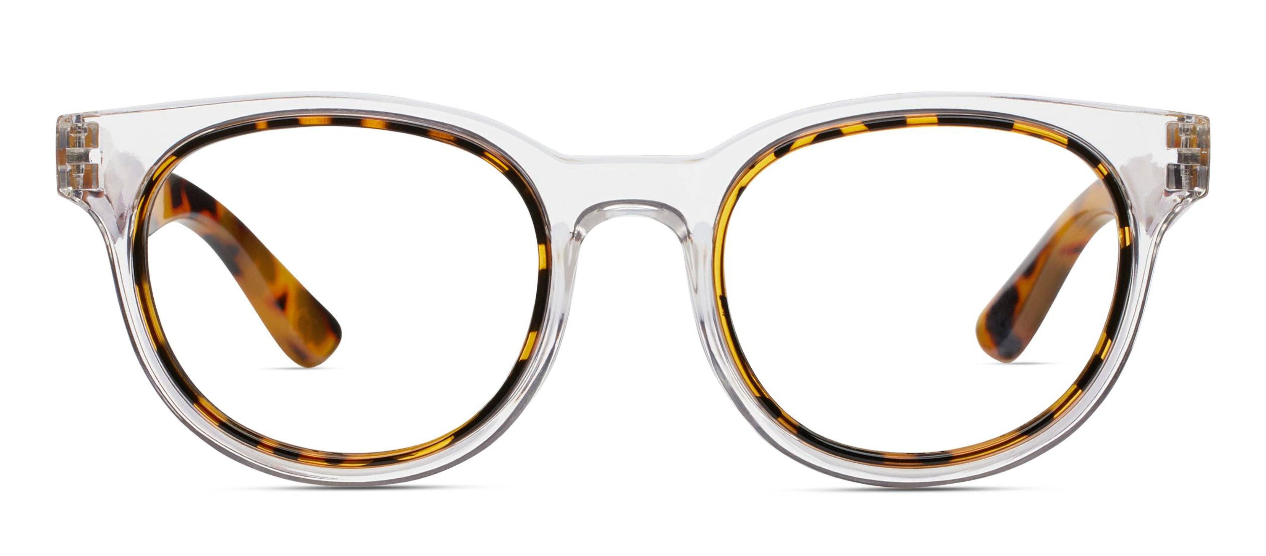Olympia (Blue Light): Clear/Tokyo Tortoise / Reading