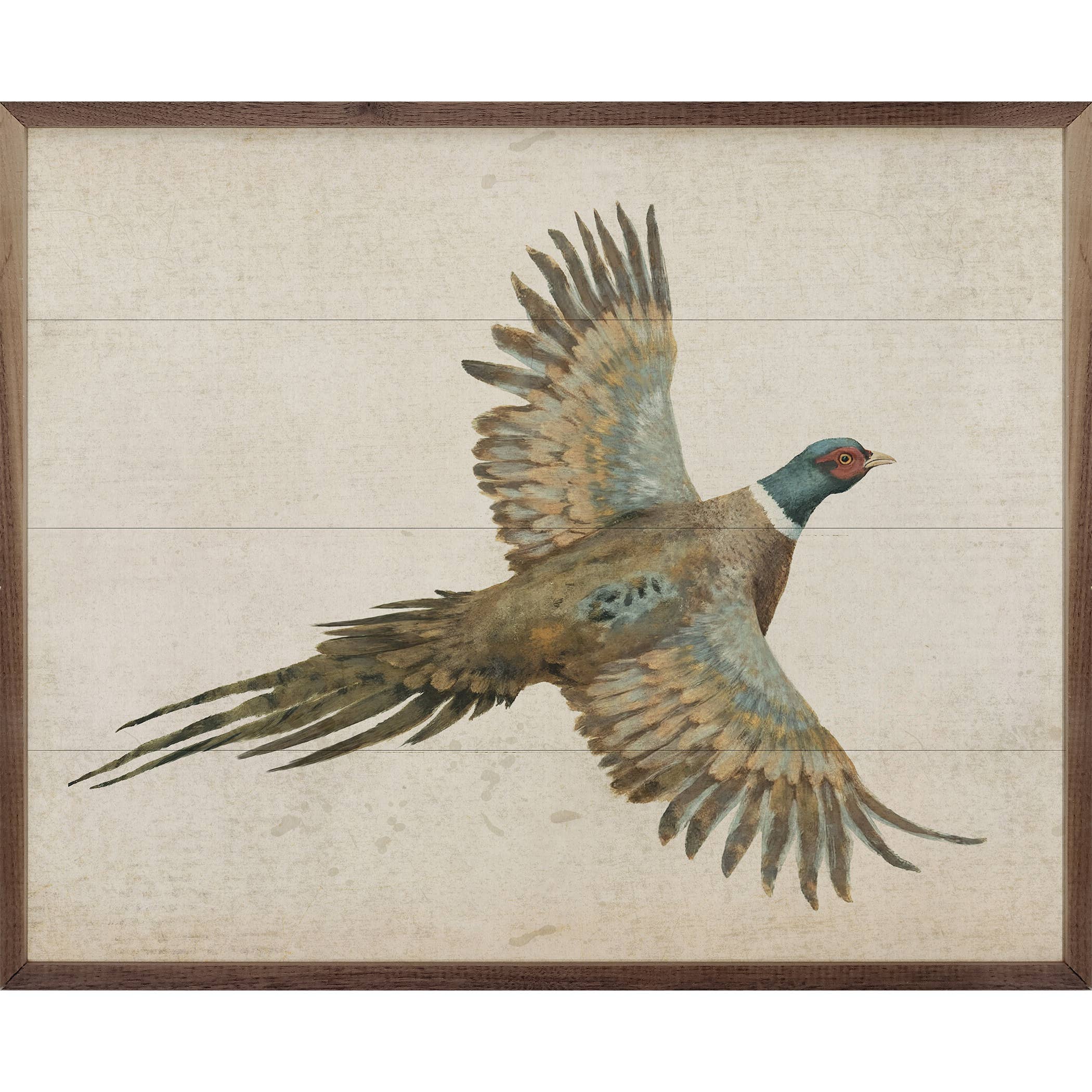 Pheasant: 10x8