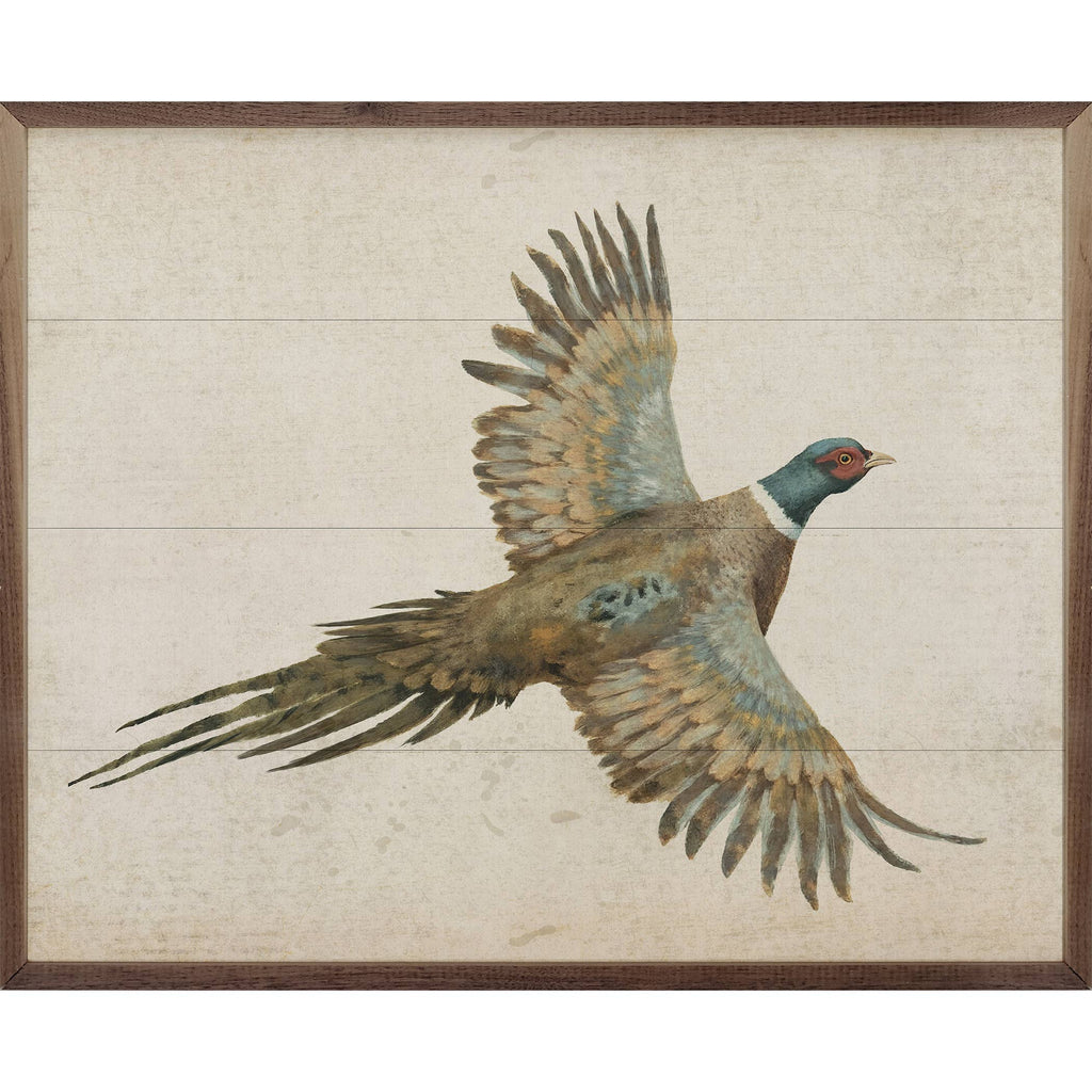 Pheasant: 10x8