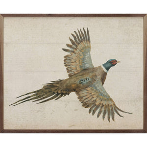 Pheasant: 10x8