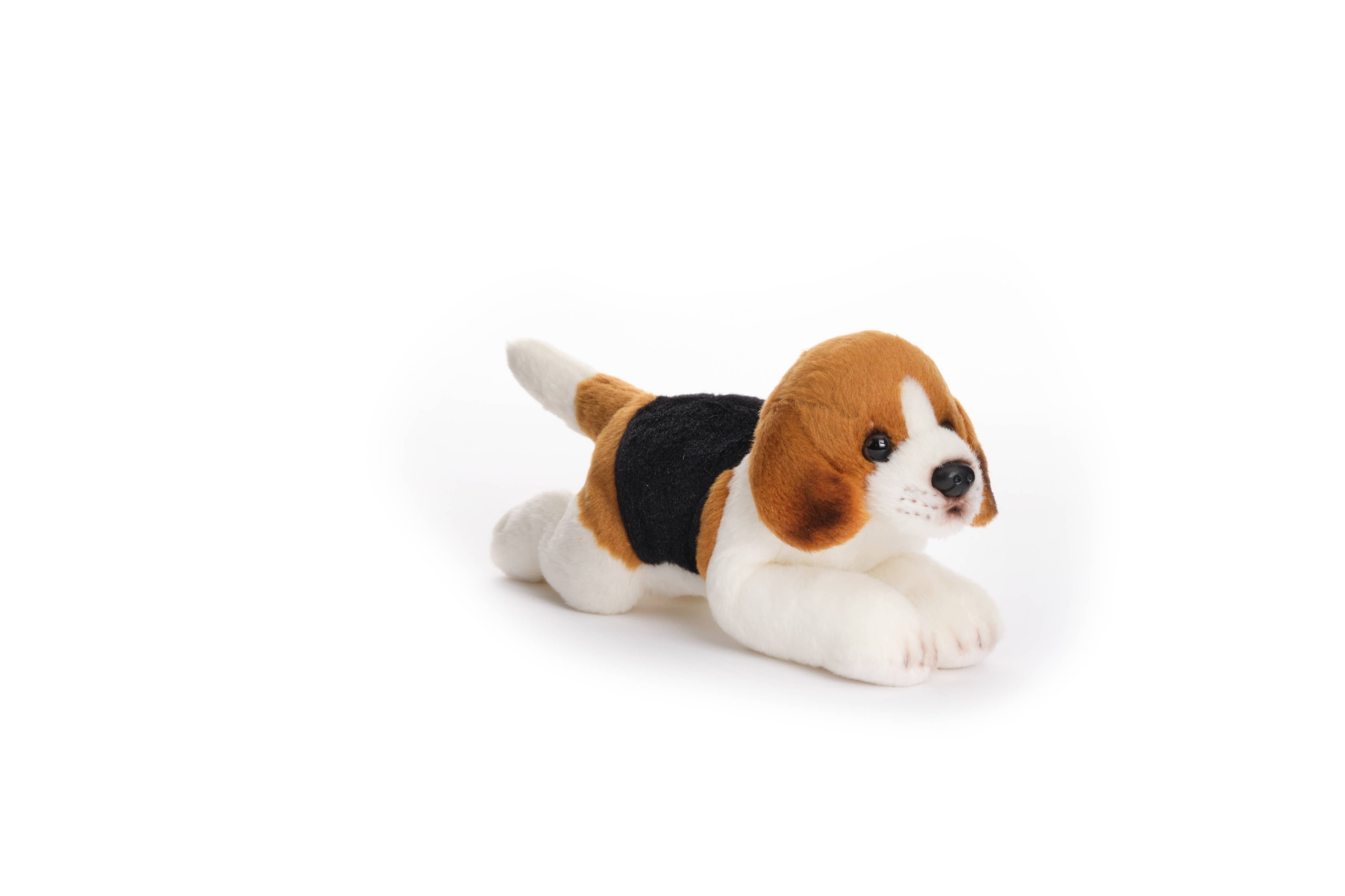 Lil' Hunter the Beagle