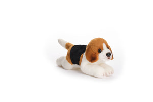 Lil' Hunter the Beagle