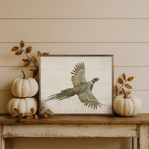 Pheasant: 10x8