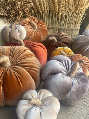CF-3171 - XL Caramel Velvet Fall Pumpkin