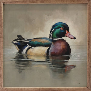 Wood Duck Portrait: 4x4