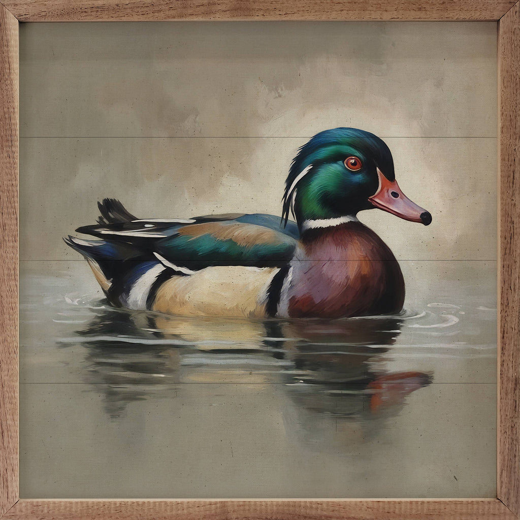 Wood Duck Portrait: 8x8