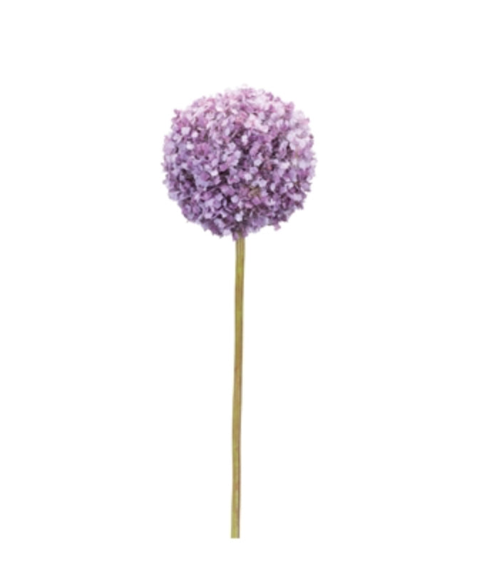 ALLIUM STEM 25”H