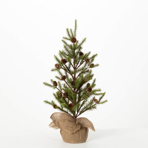 PINE TREE w/ BURLAP (3 Sizes)