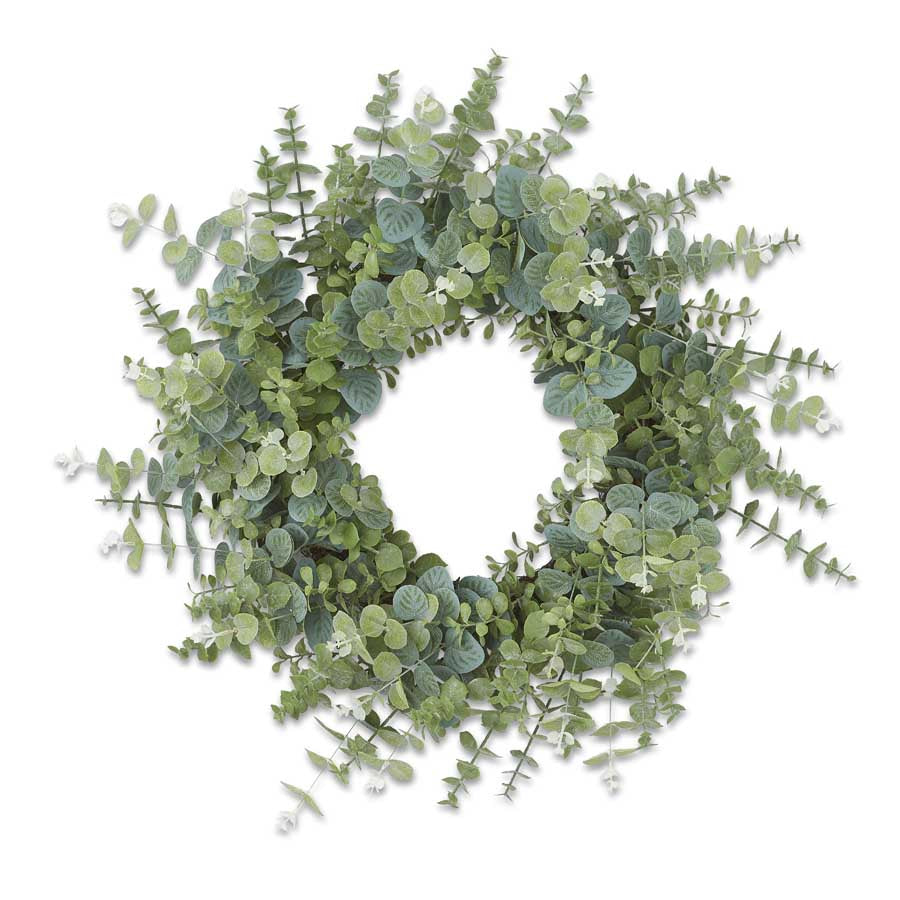 24 Inch Blue Gum Eucalyptus Wreath w/Grapevine Base