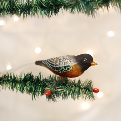 Robin Ornament - Old World Christmas