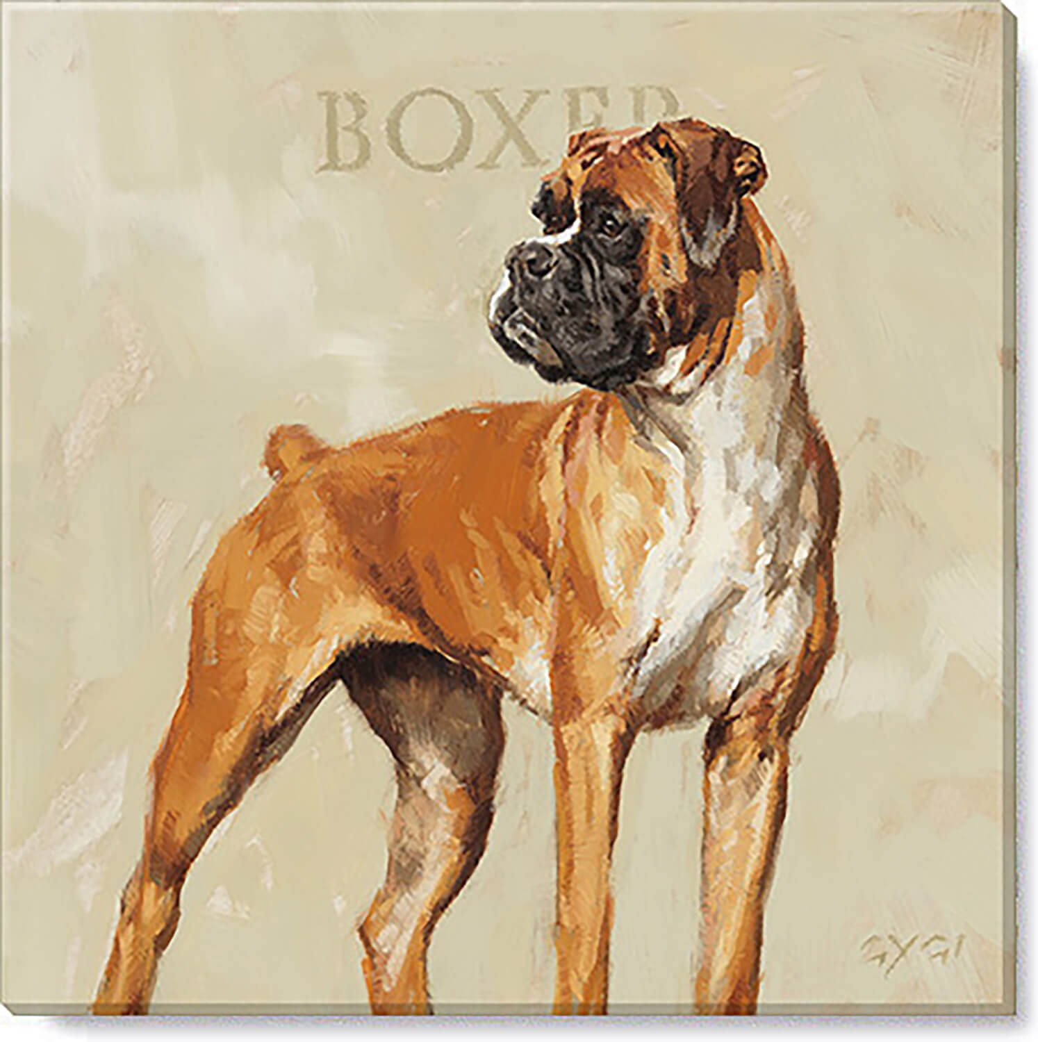 Boxer Giclee Canvas Wall Art- 5”x5”