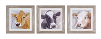 Framed Cow Print (3 Styles)
