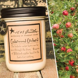1803 Candles- 14oz Jar - Cedarwood Orchard