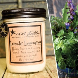 1803 Candles- 14oz Jar - Lavender Lemongrass