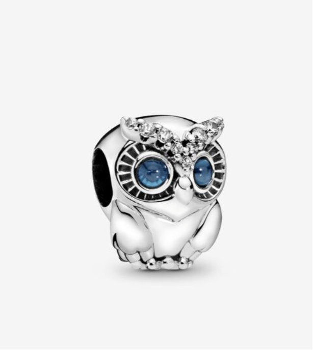 Sparkling Owl Charm - Pandora - 798397NBCB